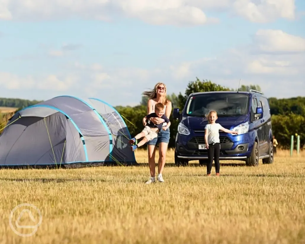 Non electric grass pitches