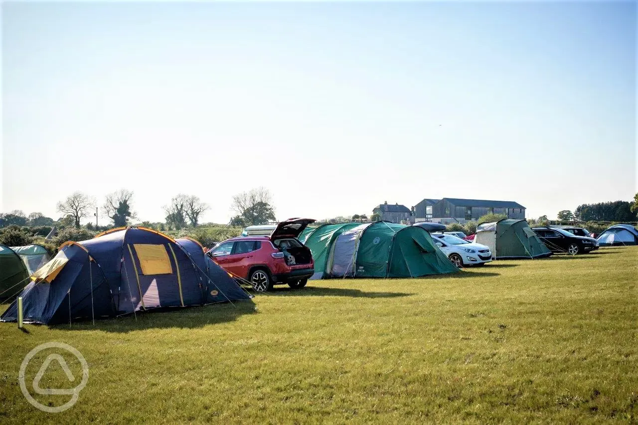 Non electric grass pitches