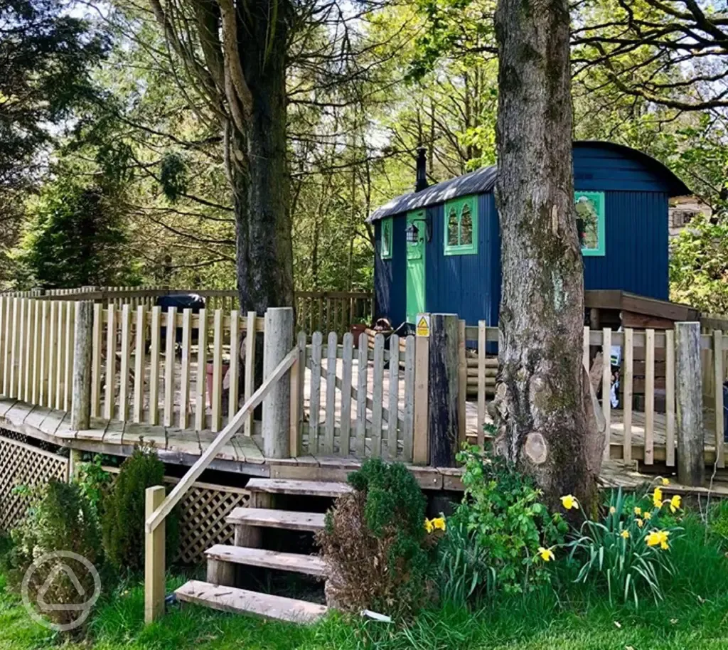 Shanti shepherd's hut
