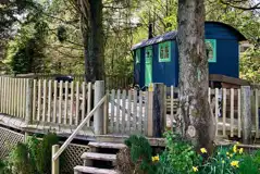 Shanti shepherd's hut