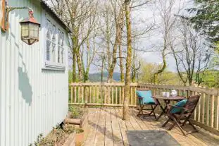 Llethrau Forest and Nature Retreats, Knighton, Powys