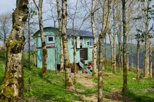 Llethrau Forest and Nature Retreats, Knighton, Powys (11.7 miles)