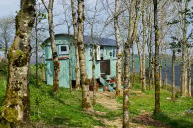 Llethrau Forest and Nature Retreats