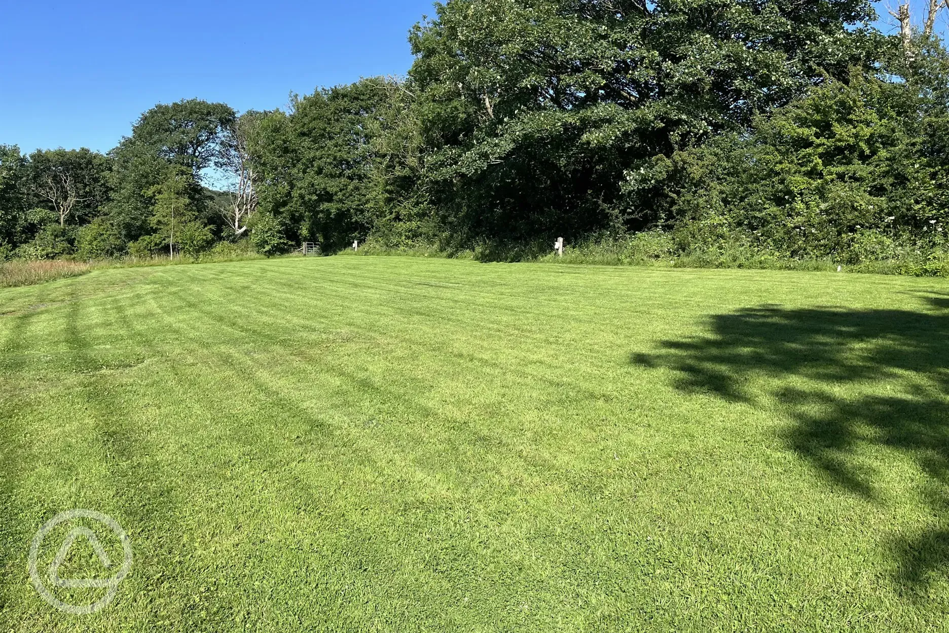 Grass pitches with electric hook up