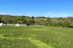 The meadow The meadow
