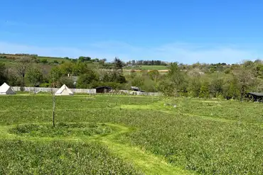 The meadow