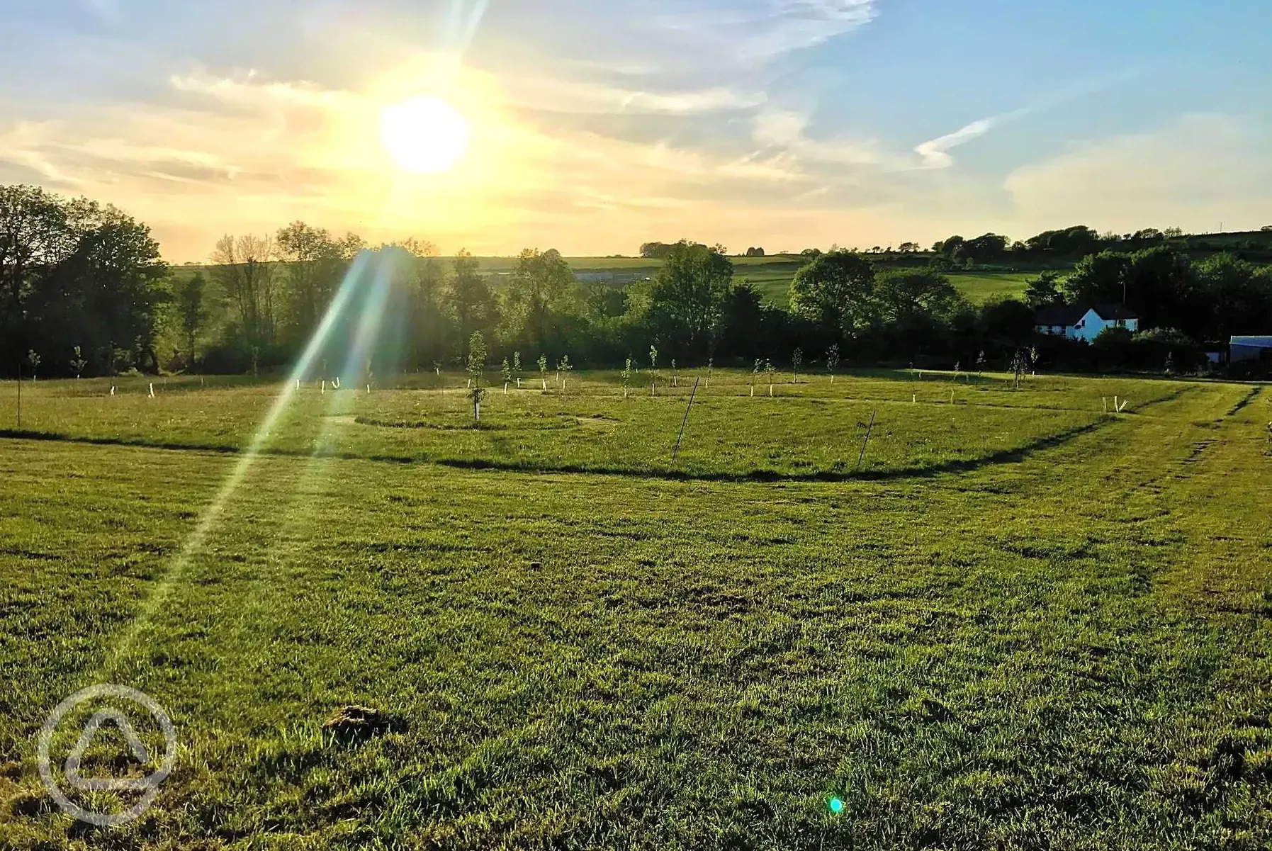 View of the meadow