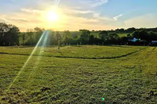 Wild Meadow Camping, Llandysul, Ceredigion