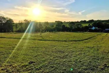View of the meadow
