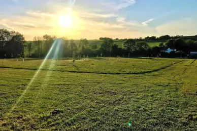 Wild Meadow Camping