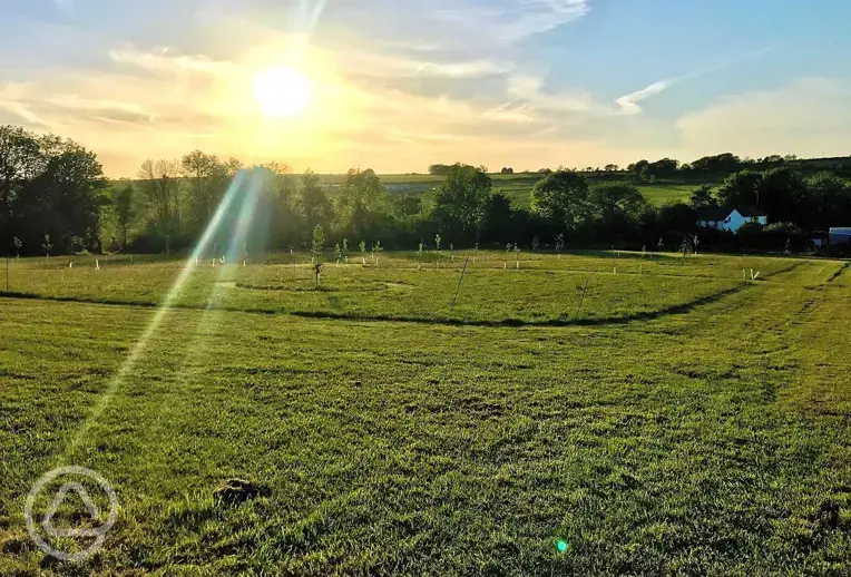 View of the meadow