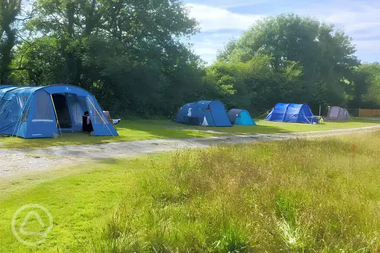 Camping pitches