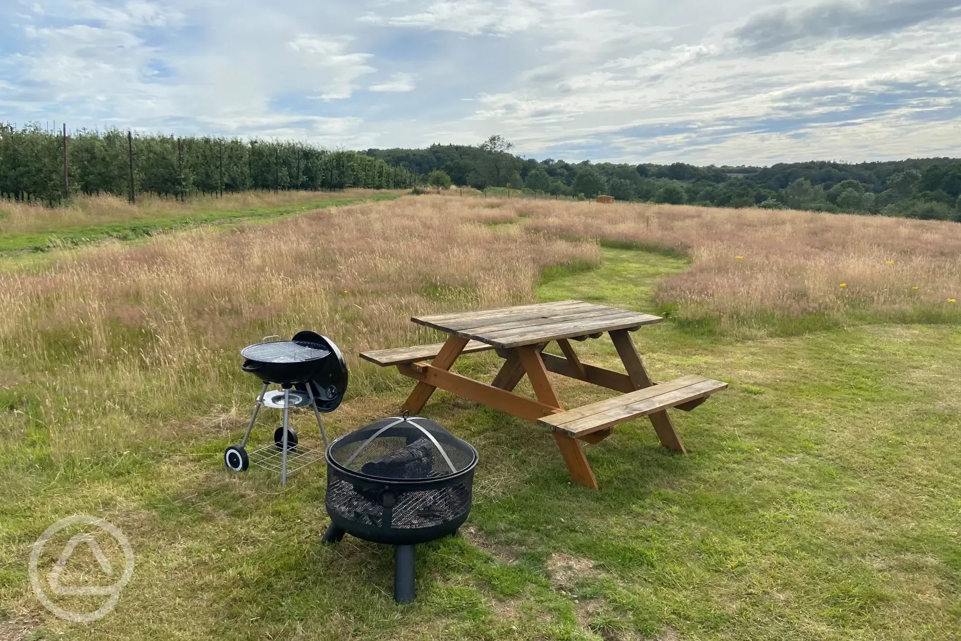 BBQ, Fire Pit and orchard