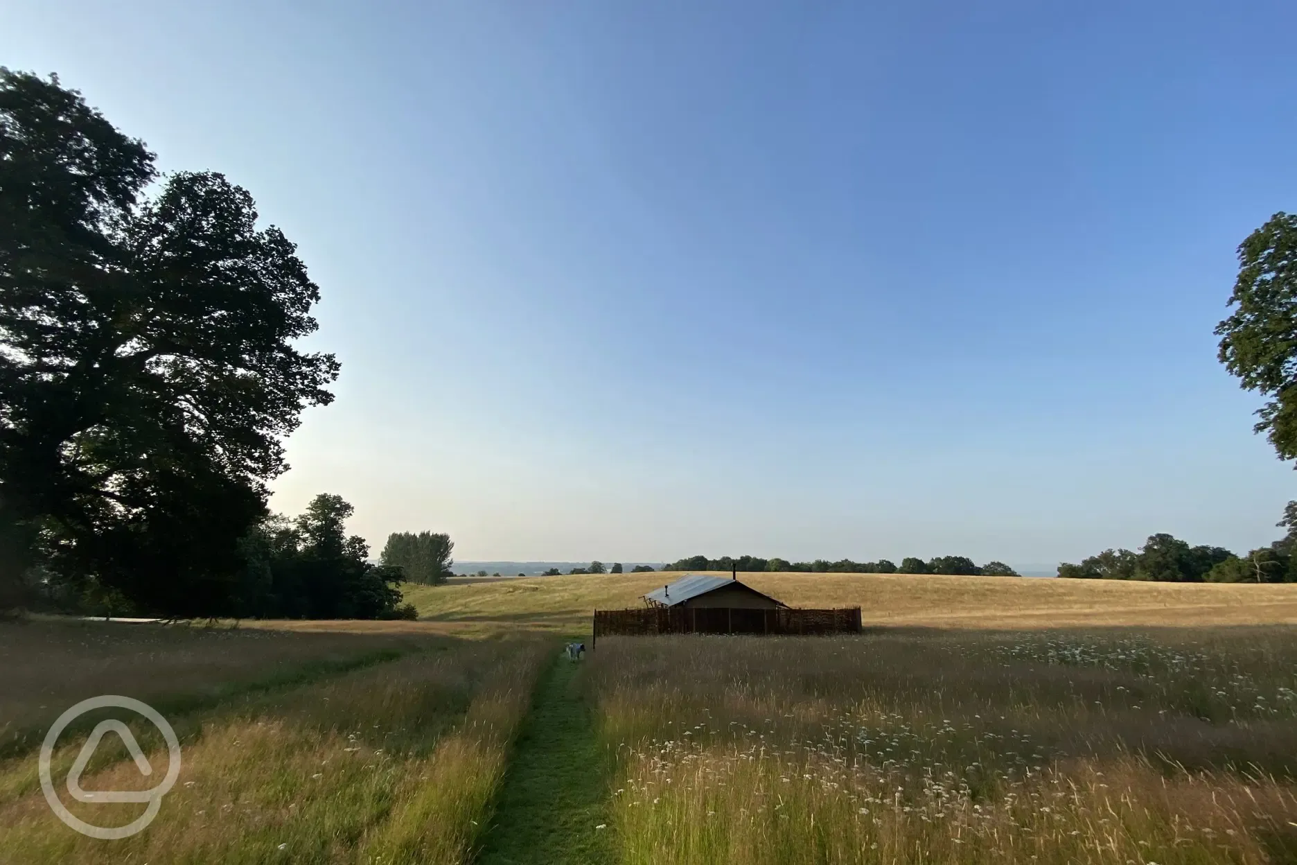 Views over the site