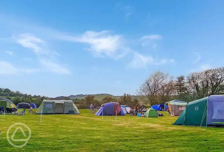 Non electric grass pitches