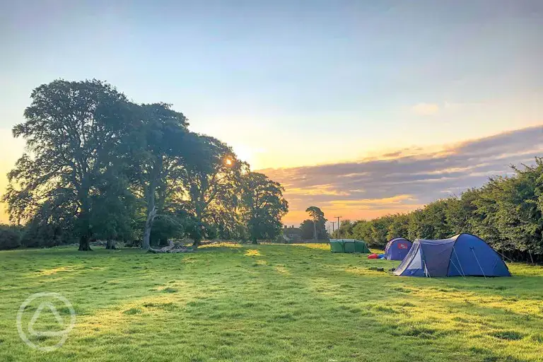 Non electric grass tent pitches