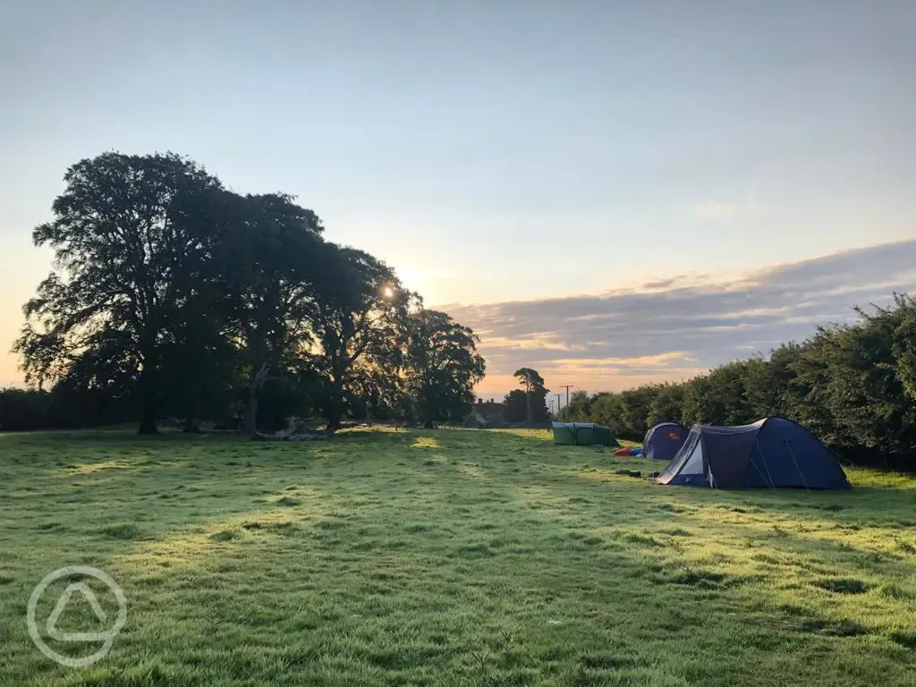 Non electric grass tent pitches