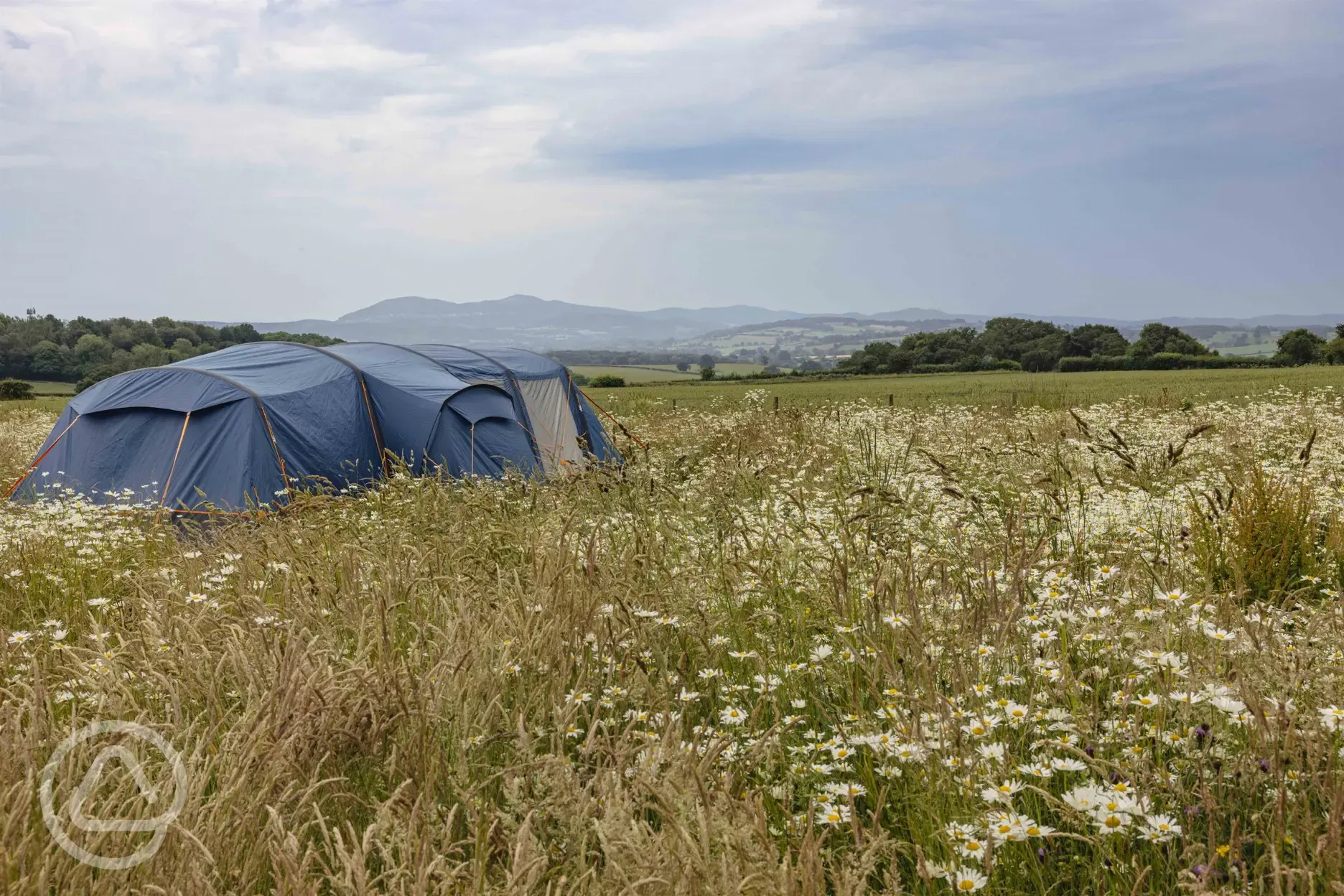 Non electric grass tent pitches