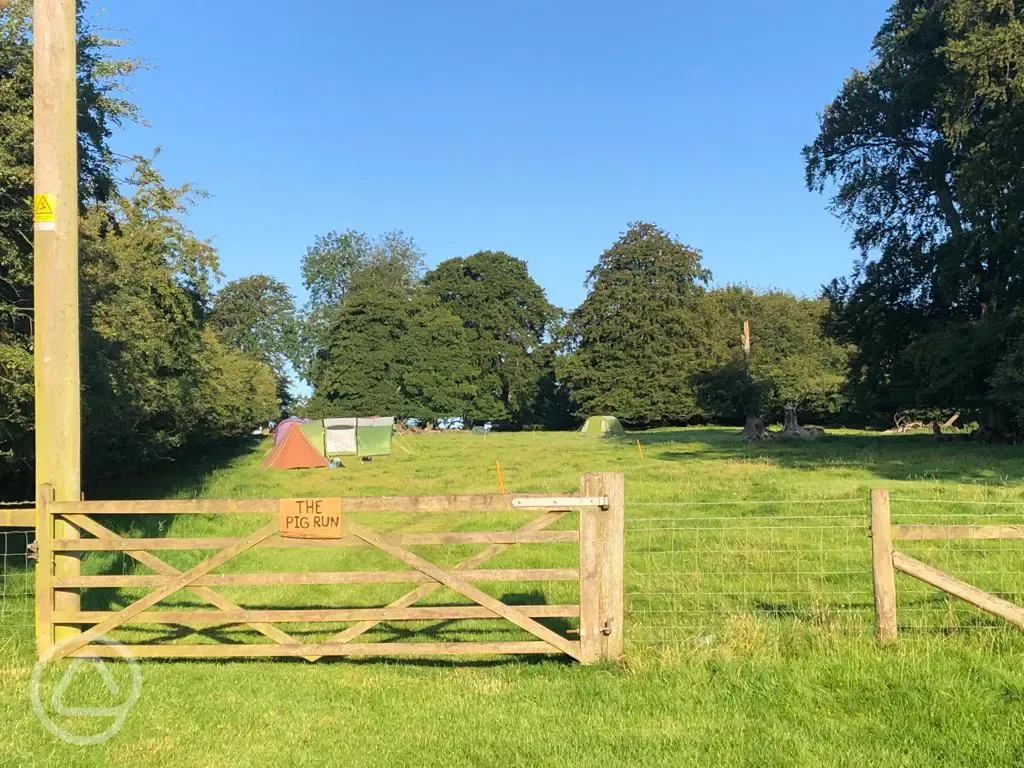 Non electric grass tent pitches