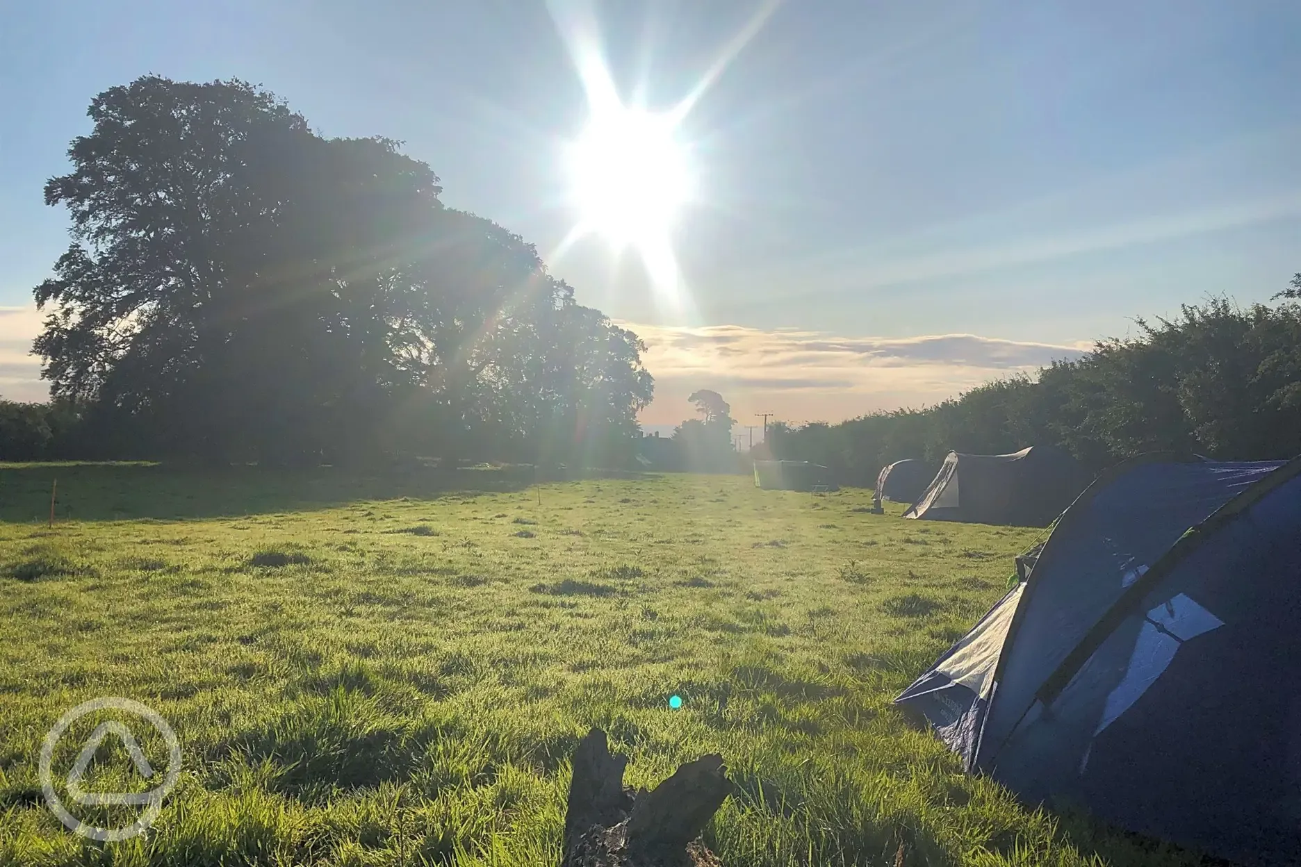 Non electric grass tent pitches