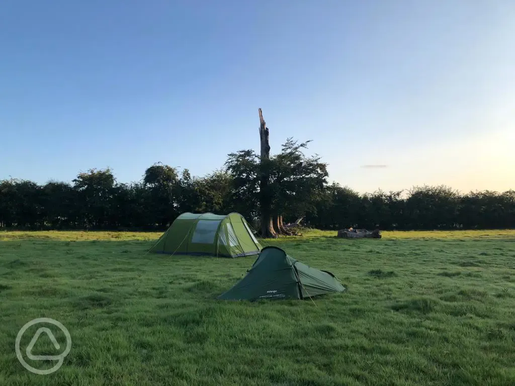 Non electric grass tent pitches