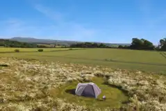 Aerial of Warren Farm pitches surrounded by wildflower meadows