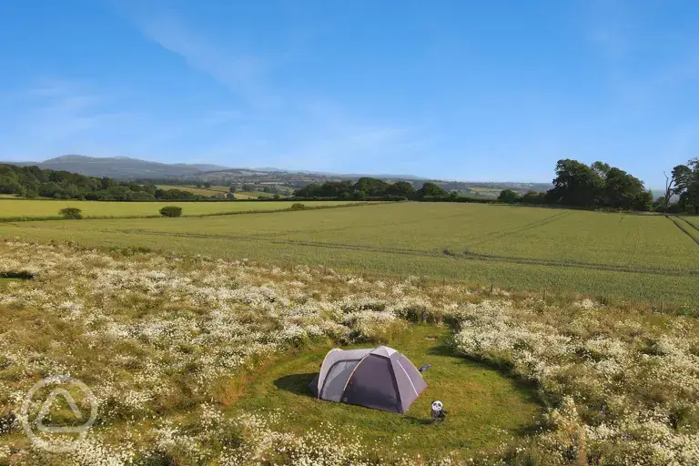 Non electric grass tent pitches