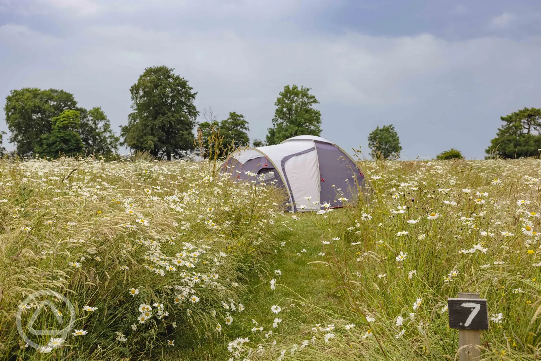 Non electric grass tent pitches
