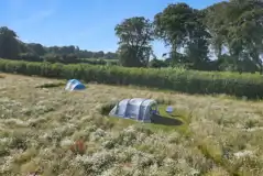 Non electric grass tent pitches
