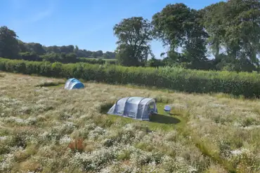 Non electric grass tent pitches