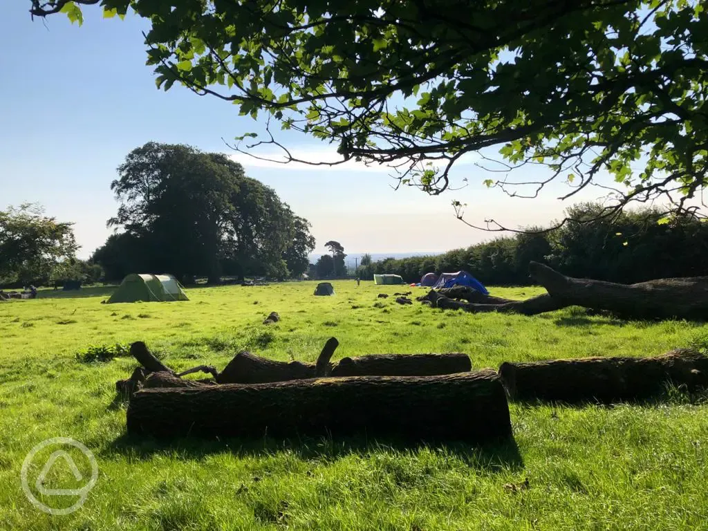 Non electric grass tent pitches