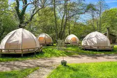 Airdome ready tents (dog friendly)