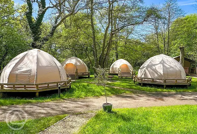 Airdome ready tents (dog friendly)