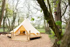 Woodland bell tents under the shade of trees