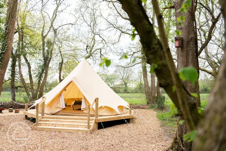 Woodland bell tents under the shade of trees