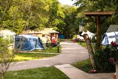 Electric grass pitches (5m x 8m)