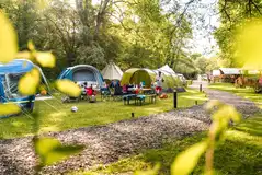 Grass pitches lined by trees at Rivendell Park Grass pitches lined by trees at Rivendell Park
