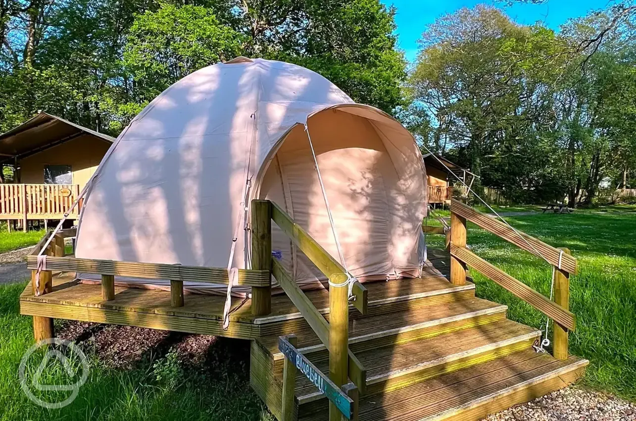 Airdome ready tent