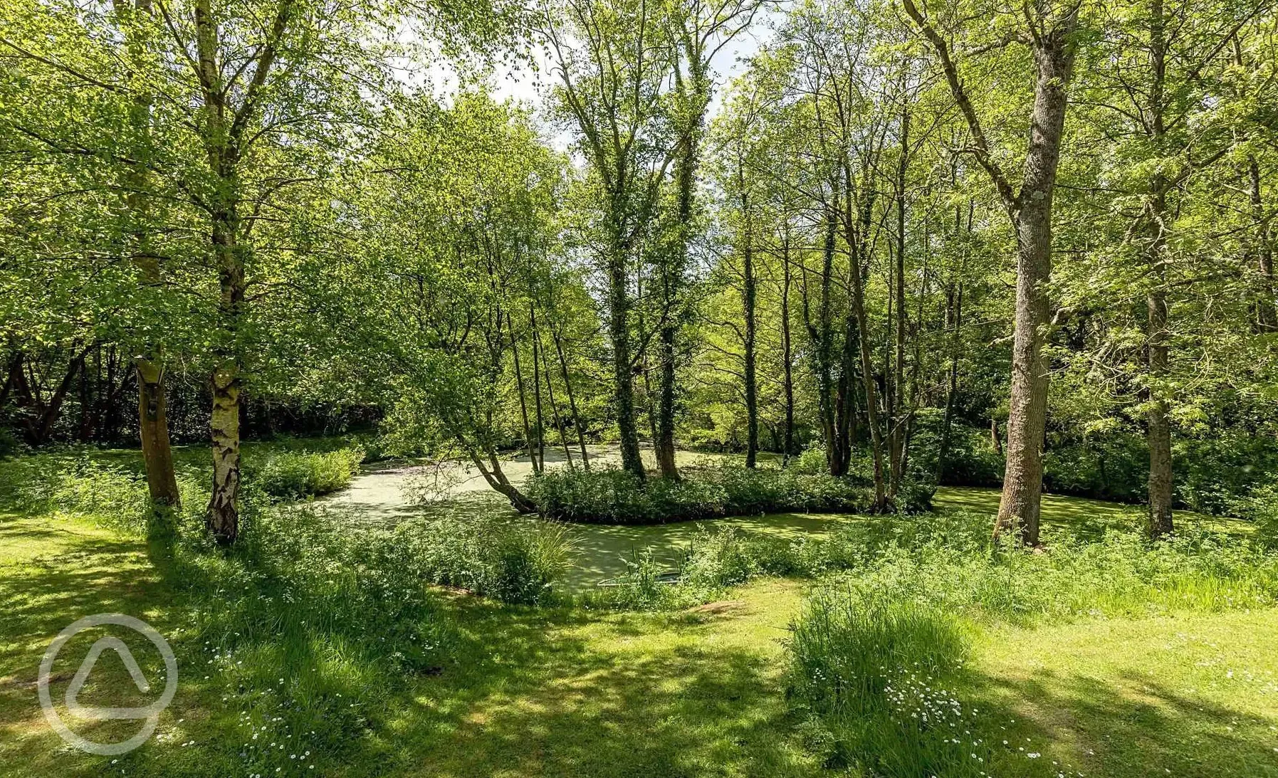 Non electric woodland pitches