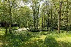 Non electric woodland pitches