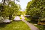 Woodland bell tents next to the safari tents