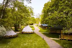 Woodland bell tents next to the safari tents