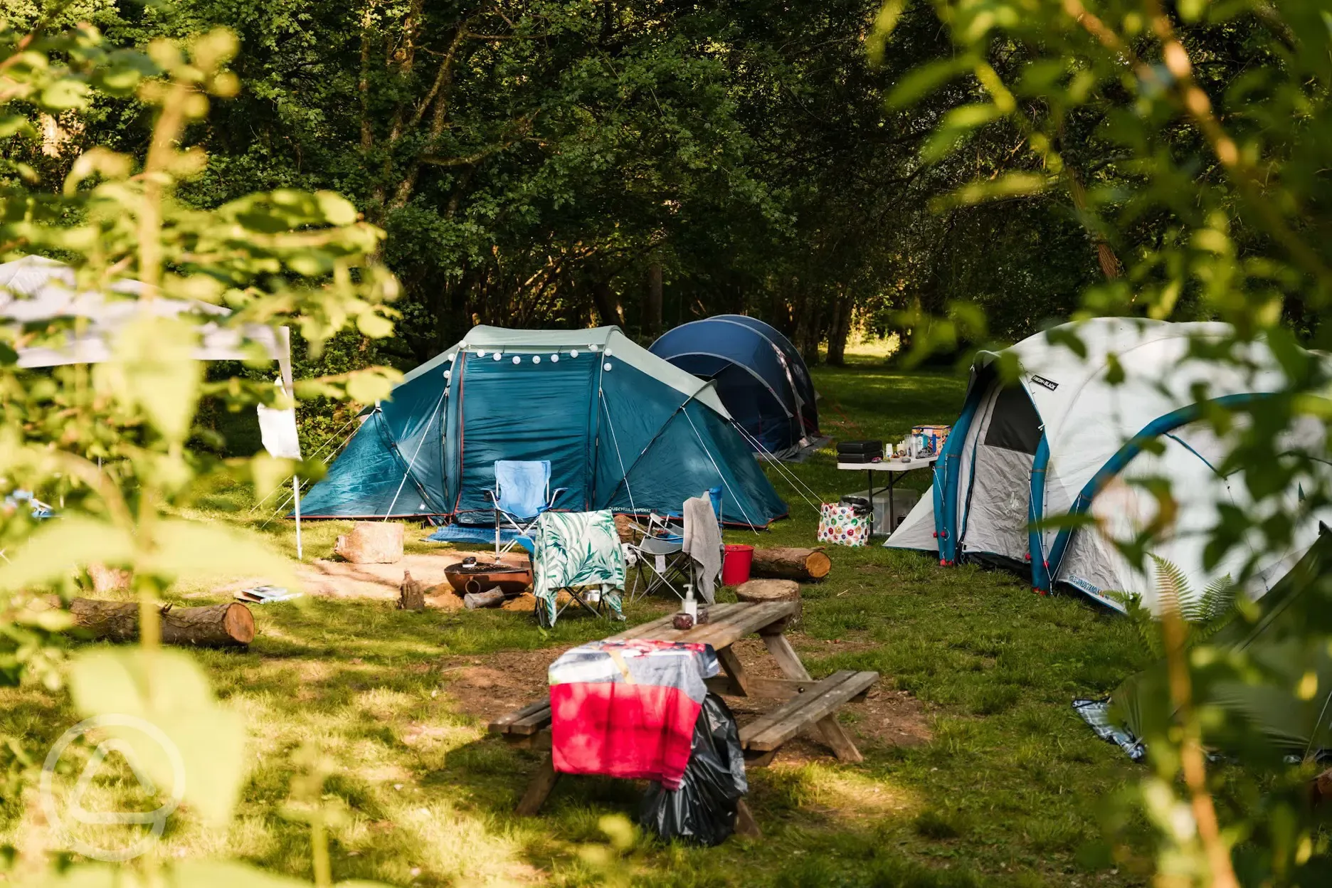 Grass pitches