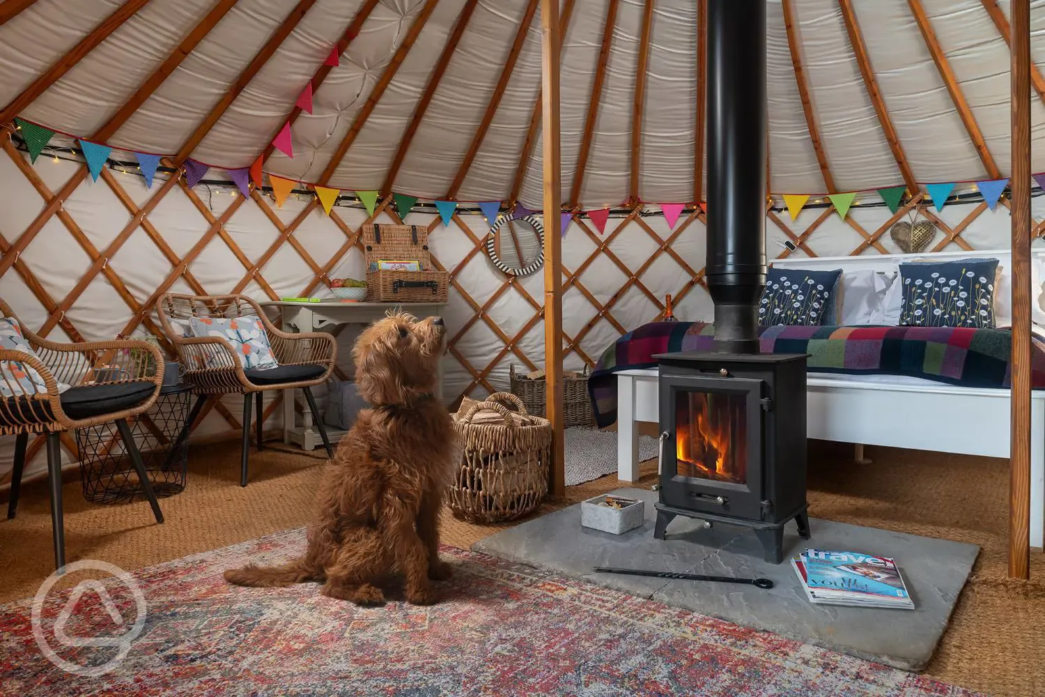 Dogs friendly yurts