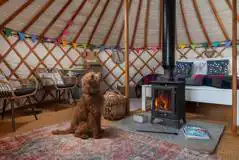 Dogs friendly yurts