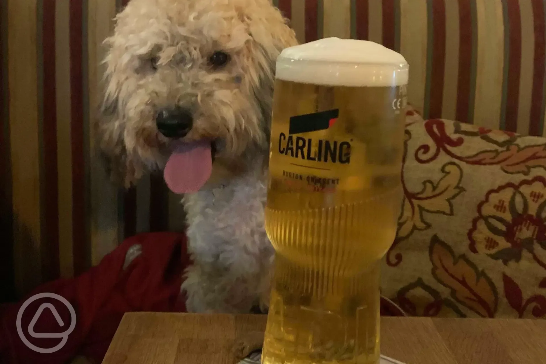 Dog friendly pub