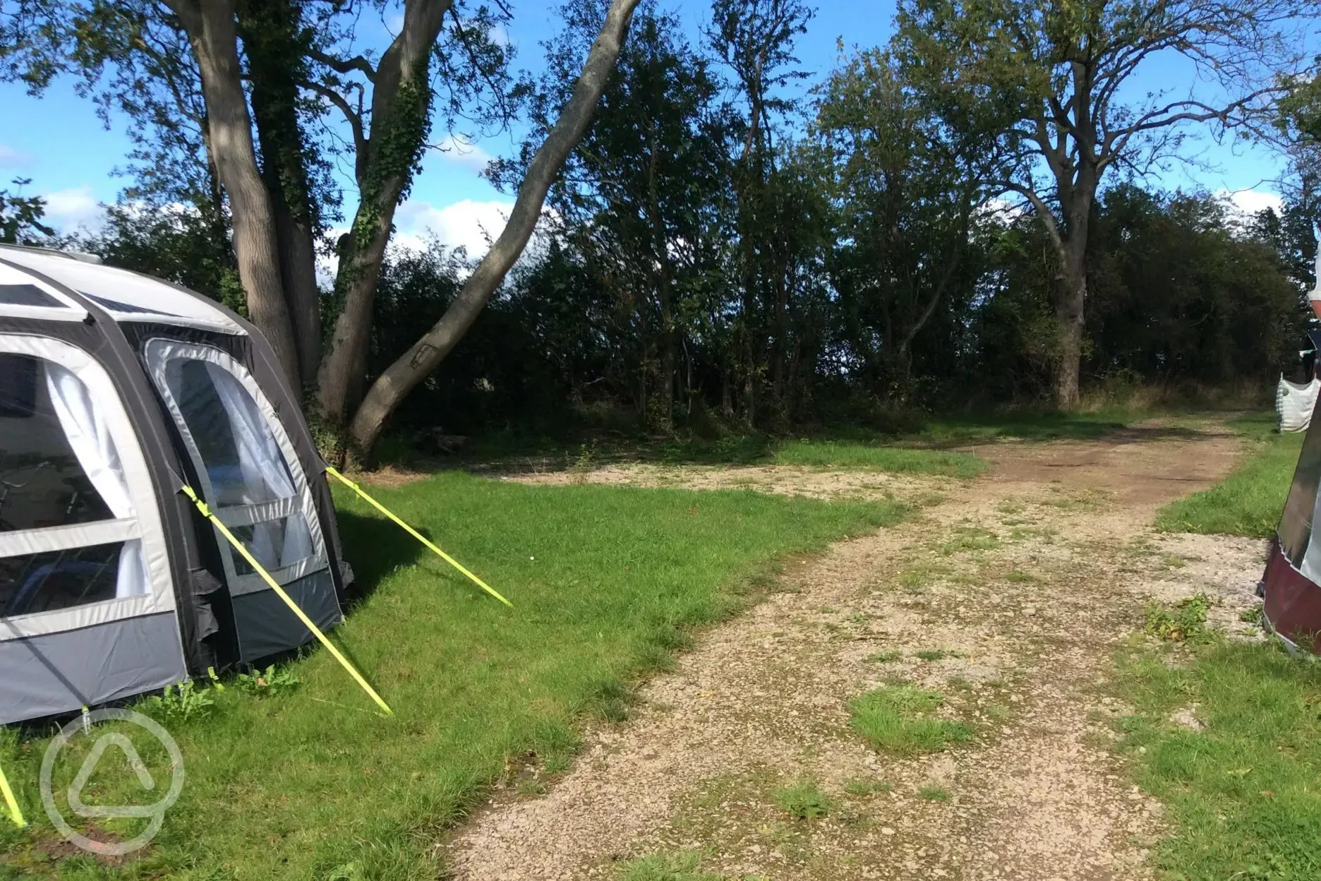 One of our pitches in the woods