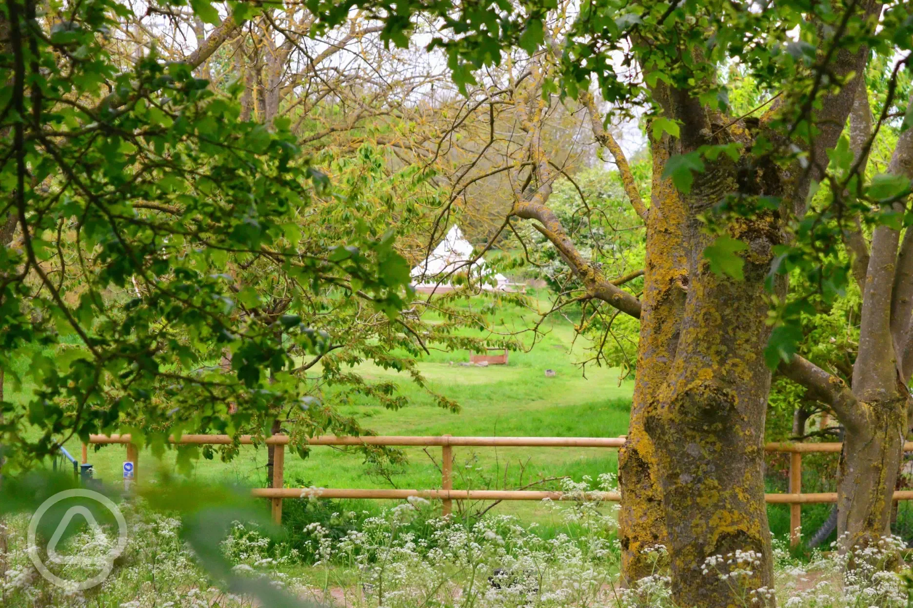 view of the camping field