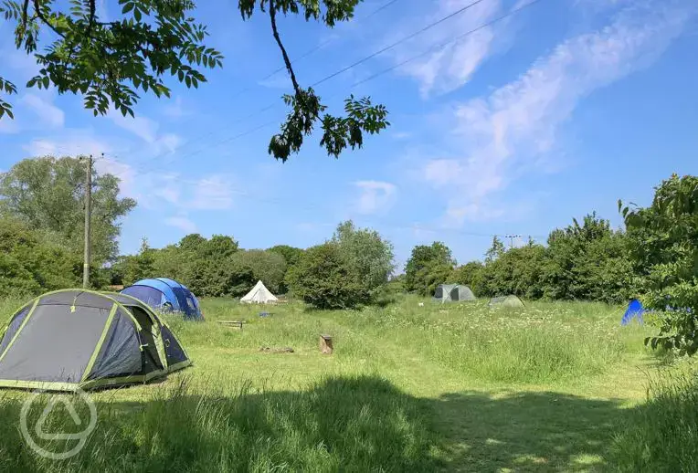 Tent field