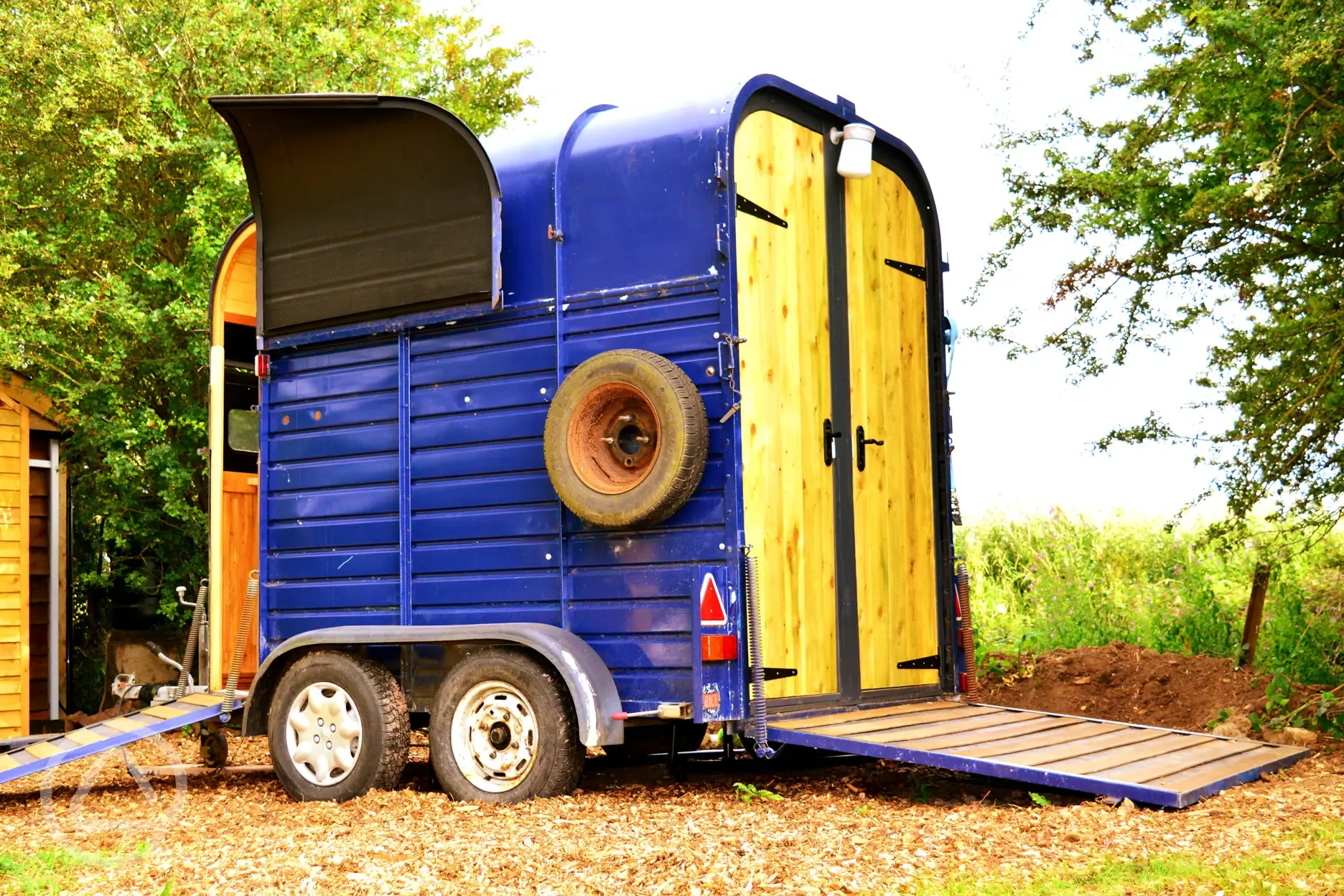 Shared horse box showers 